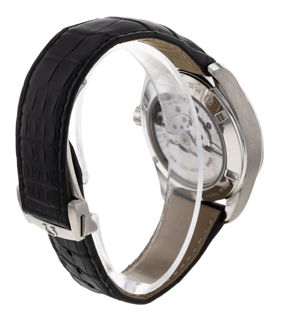 Omega Aqua Terra 150m Gents 231.13.42.22.01.001 Image 3